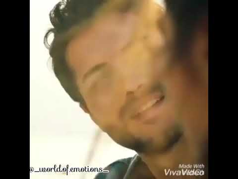 مش هاممني الدنيا كلها