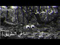   حالات واتس اب حزينة ومضحكة غامبول وداروين  انا في الطريق نجومي
