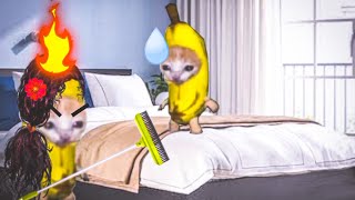 Banana cat series Epic Episode😺 | happy and banana cat #bananacat #happycats