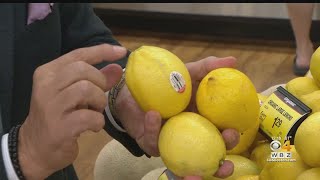 Fresh Grocer: Lemons Fresh Grocer Lemon Drop Melons