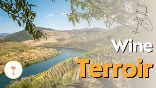 Unveiling the Essence of Terroir: Exploring the Secrets Behind Extraordinary Wines
