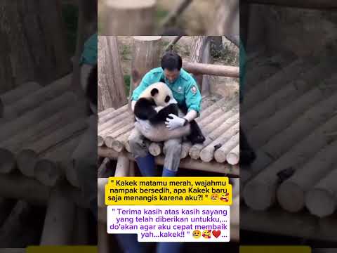 KENANGAN KAKEK DAN CUCU KESAYANGANNYA ; KINI MEREKA BERPISAH❗#shorts #viral #news #fyp
