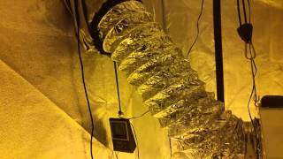 Quick explanation of how to setup intake and exhaust with air cooled hoods for your grow room.