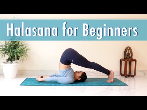 Plow pose (Halasana) – yogababu