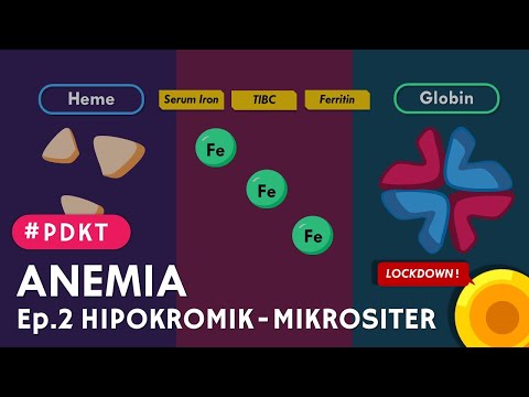 #PDKT Anemia | Ep.2 Hipokromik Mikrositer