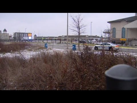Homicide unit investigating after body found in Brampton - YouTube