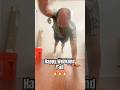 Happy Saturday рџ Ґрџ Ґ Combo Inspireothers Inspiration Pushups Workoutinspiration Happy Saturday рџ Ґрџ Ґ Combo Inspireothers Inspiration Pushups Workoutinspiration