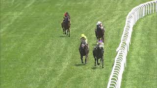 Race 3 Master 2026 07 25