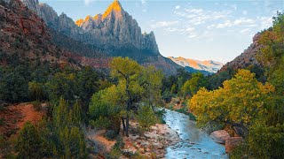Contemplative Harmony:10-Hour Loop of Thoughtful Nature Sounds for Serene Sleep and Reflective Study