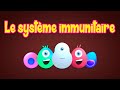 Le systme immunitaire expliqu  biologie simple  rponse immunitaire  13