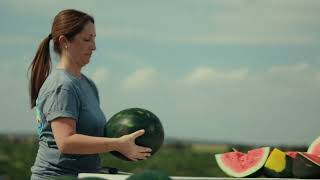 Support Florida Farmers and Look for Local Produce When You Shop