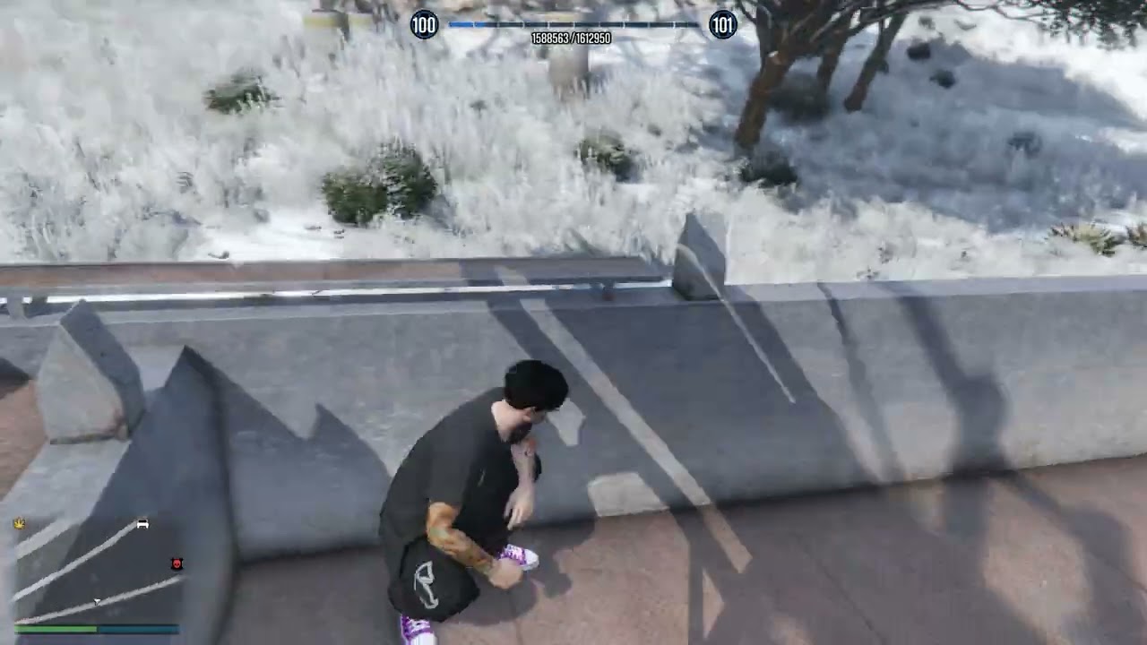 weird bug in gta online with the train