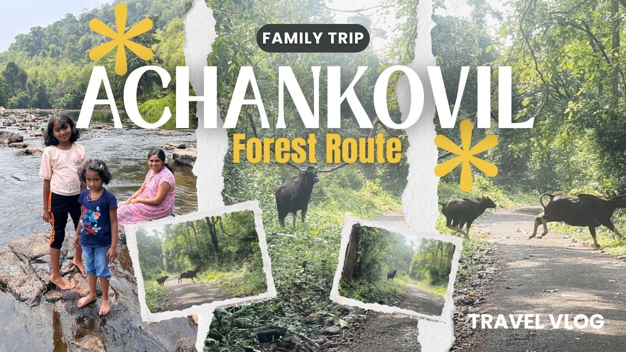 Achankovil forest route