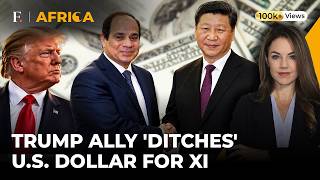China's Xi And Egypt's Sisi Bypass US Dollar: Will Trump Retaliate? | Firstpost Africa | N18G