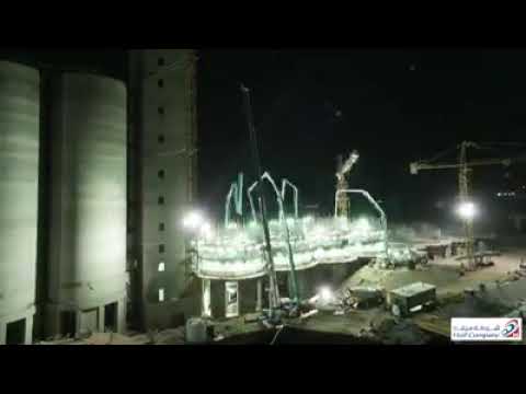salo haif company project