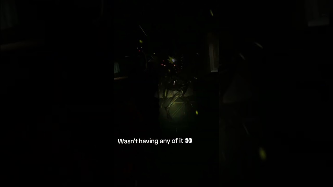 Better Luck Next Time B*tch! 😈 (Alien Rogue Incursion VR Part 1)