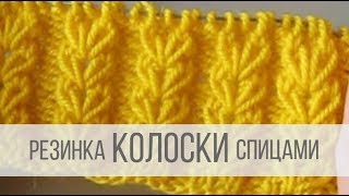 Резинка Колосок спицами