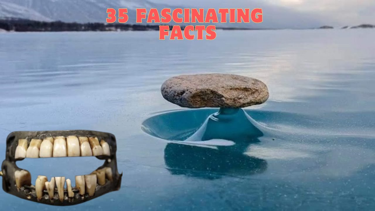 The 35 Most Surprising Facts About the World Around You