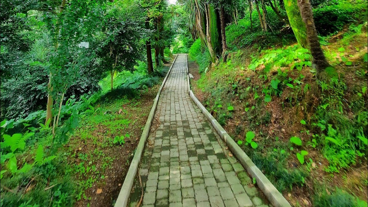 batumi botanical garden tour