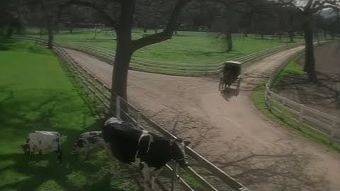 Wisconsin v. Yoder Case Study Video