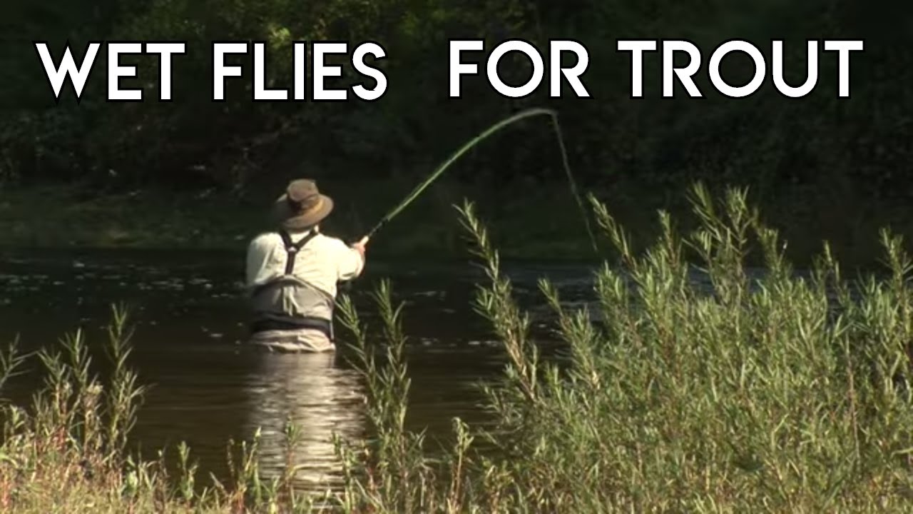 Wet Flies for Fly Fishing