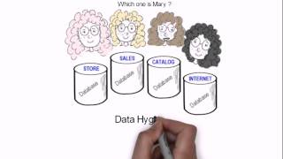 Data Hygiene Management and Customer Identification