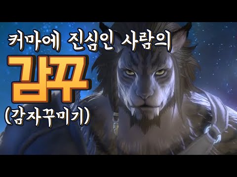 파판14 어떤 종족할까? 부캐 만들기에 진심입니다. // 감자친구 일상