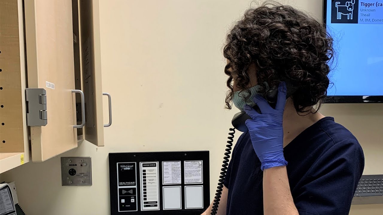 Dealing Unhappy Clients Over the Phone