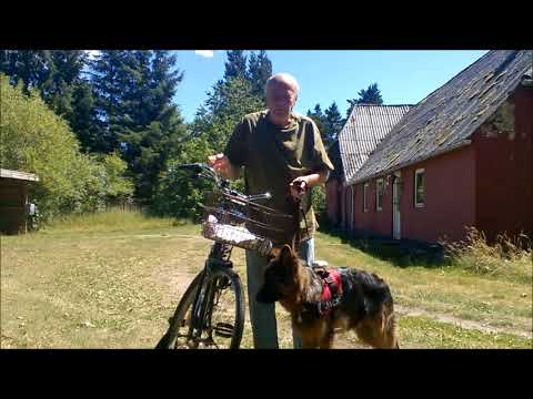 Video: Tips För Att Cykla Säkert Med Din Hund