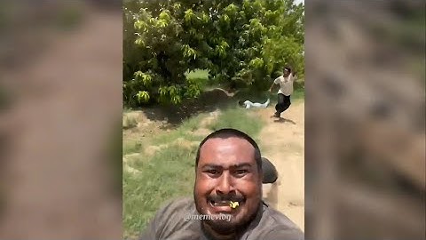 Tổng hợp top những clip hài ngắn cười không ngậm được mồm 