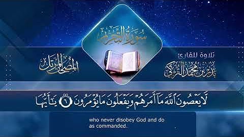 سورة التحريم || القارئ بدر التركى # ١٤٤١هـ Badr Al-Turki ||Surah At-taHreem