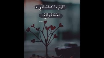 حالات واتس اب دينية مؤثرة💛🌿ll ارح سمعك☁️💛تلاوه تنسيك هموم الدنيا كلها😴😴