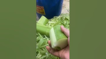 the process of peeling the bark of taro trees #shorts