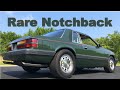 Rare Survivor -  Sage Green Notchback Mustang