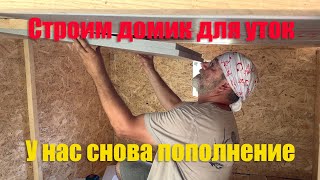 #6 ЖИЗНЬ В ДЕРЕВНЕ / Строим домик для утят, у нас снова пополнение!