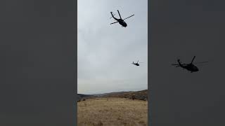 Allah Allah Diyerek Geliyoruz