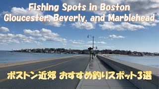 Fishing spots and commonly caught fish in Boston | Gloucester, Beverly, and Marblehead