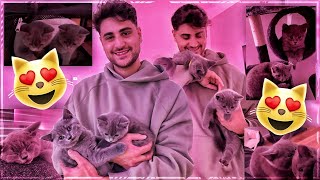 ICH HABE MIR KATZEN GEHOLT😍🐈 Manfred & Diego Vlog mit Melina🔥