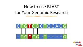 How to Use BLAST for Finding and Aligning DNA or Protein Sequences