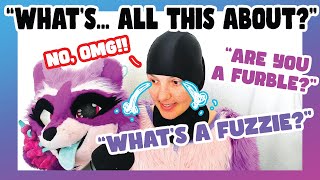 explaining what a con is to confused people who stumble upon them #furries #fursuiters