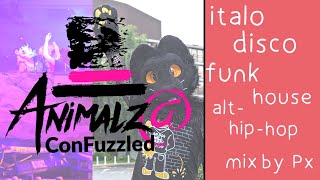 Italo Disco, Funk/House, Alt Hip-hop mix by Px - Confuzzled 2024 - Main Stage DJ Set - Animalz @ CFz