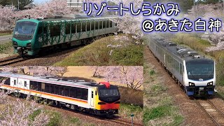 JR五能線 あきた白神の桜とリゾートしらかみ号