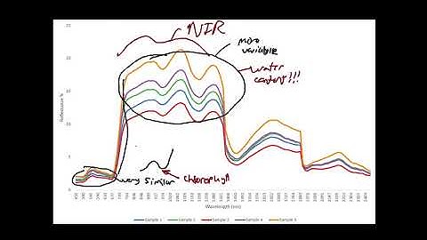 More spectral profile examples