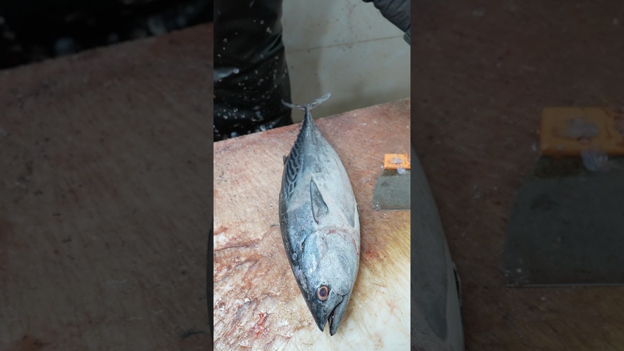 Easy Tuna Cutting at Home for Beginners 🐟 No Experience Needed!