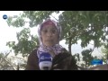 باتنة سكان المولية يتسولون مياه الشرب في أعالي ثنية العابد