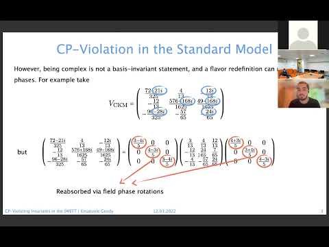 CP-Violating Invariants in the SMEFT  (Emanuele Gendy)