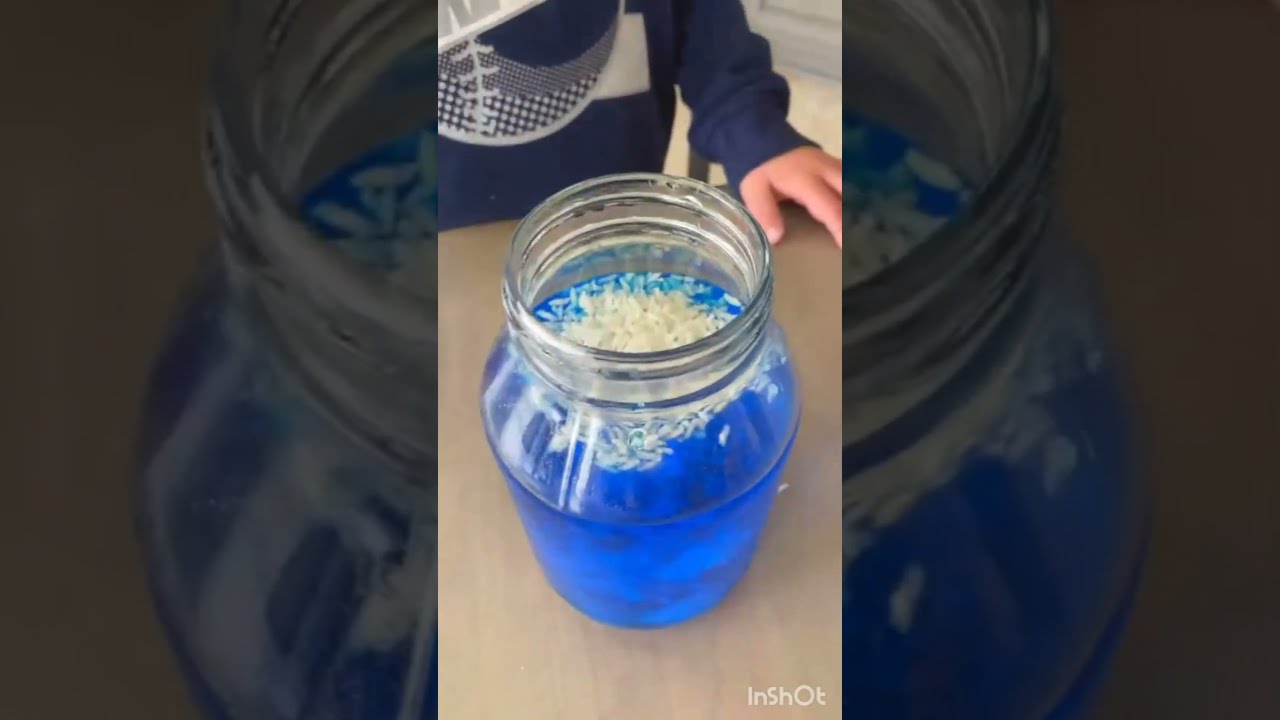 Dancing Rice Experiment Short Science Vdeo