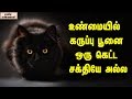 Black cat is not an evil  unknown facts tamil