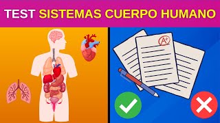 DESAFIO CUANTO SABES 25 Preguntas sobre Sistemas del Cuerpo Humano