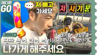 [어디든GO] 리얼 🦈상어! 현실이 된 농담 “상어 밥을 주라면 주겠다!!” 🌴하와이 8편✈ MBC130330방송